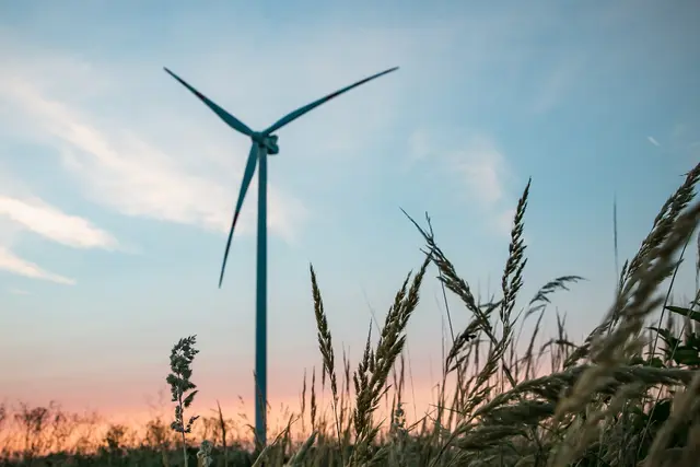 Die Diskussionen um die umstrittenen Windpark-Projekte im Waldviertel und im Bezirk Zwettl reißen nicht ab. | Foto: Symbolbild PROFES