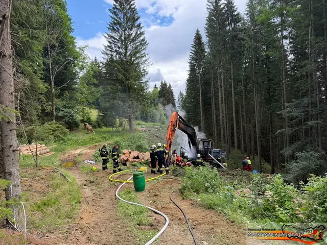 Betriebsmittel flossen ins Erdreich und verunreinigten den Waldboden. | Foto: Dominik Kinzer/FF Maria Lankowitz