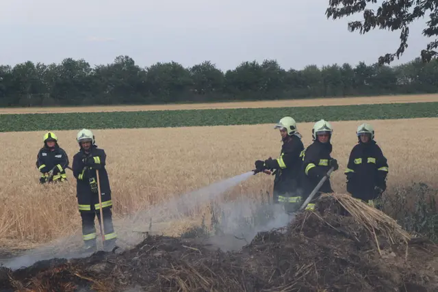 Die Feuerwehren Guntersdorf, Pernersdorf und Watzelsdorf standen gemeinsam im Einsatz. | Foto: AFKDO Haugsdorf
