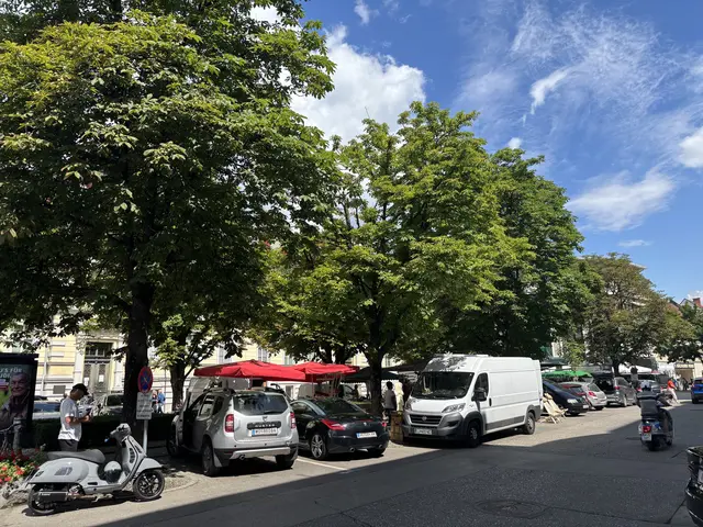 Nicht überall fehlt es an Grün: Auf mehreren Parkplätzen in der Wolfsberger Innenstadt sorgen Bäume für Schatten. | Foto: MeinBezirk.at/Kerstin Pussnig