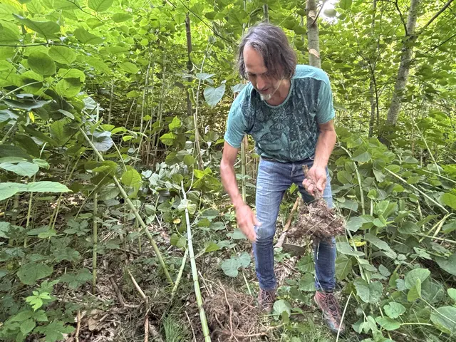 Foto: MeinBezirk