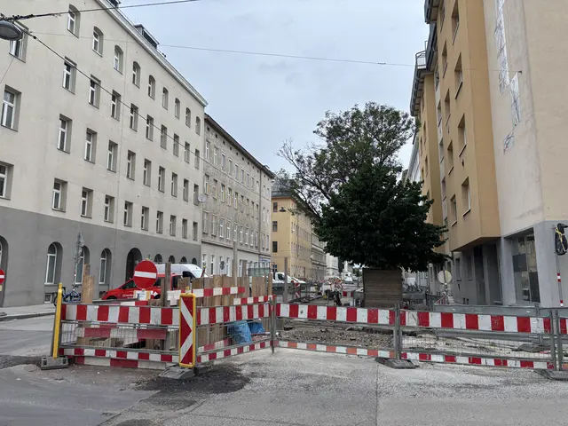 Nach dem Ende der Bauarbeiten für den Fernwärme-Ausbau soll die Alliiertenstraße aufgewertet werden.  | Foto: Luca Arztmann/MeinBezirk