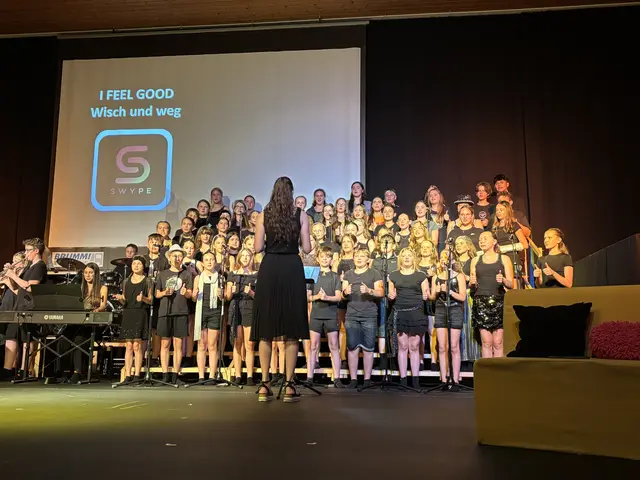 Show der Musikmittelschule Saxen am 2. Juli | Foto: MeinBezirk Perg/Köck