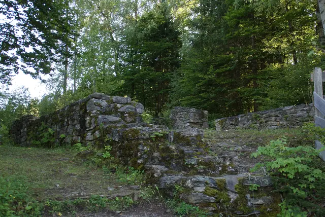 Verborgene Mauern der Ruine Bachsfall. | Foto: Alexander Holzmann