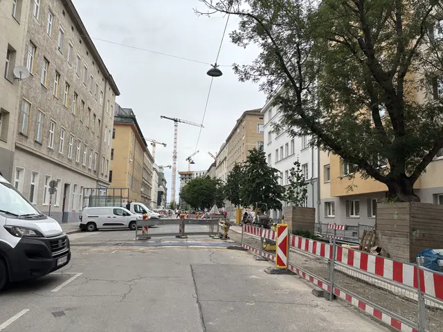 Foto: Luca Arztmann/MeinBezirk