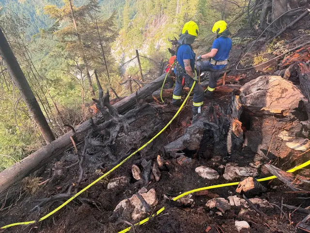 Waldbrand auf dem Arikogel bei Ebensee: 80 Personen waren im Einsatz. | Foto: Bergrettung Ebensee