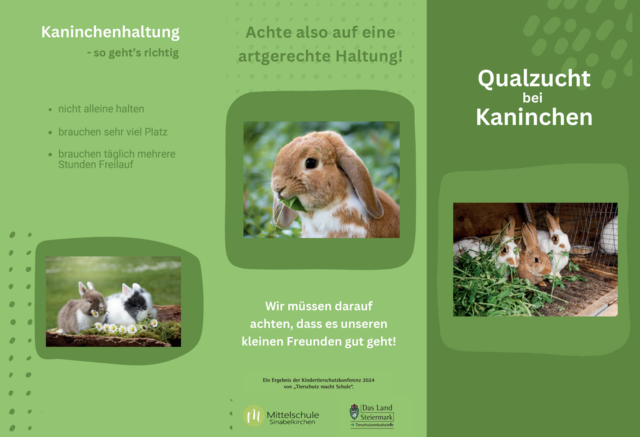 Ein weiterer Folder widmet sich der Qualzucht bei Kaninchen. | Foto: Screenshot/Folder