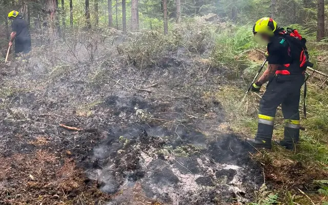 Am Wochenende kam es zu mehreren Brandeinsätzen in Kärnten.  | Foto: Freiwillige Feuerwehr Arnoldstein