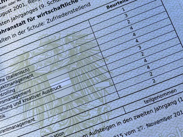 Auch mit diesen Sommerferien starten die Innsbrucker Kinosäle Metropol und Cineplexx ihre beliebten Zeugnisaktionen. | Foto: SKN (Symbolbild)