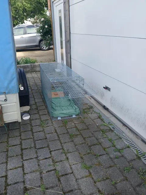 Foto: Tierschutz Initiative Innviertel