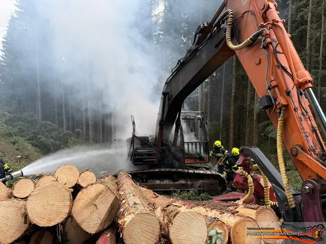 Die Brandursache steht noch nicht fest, es dürfte sich um ein technisches Gebrechen handeln. | Foto: FF Dominik Kinzer/FF Maria Lankowitz