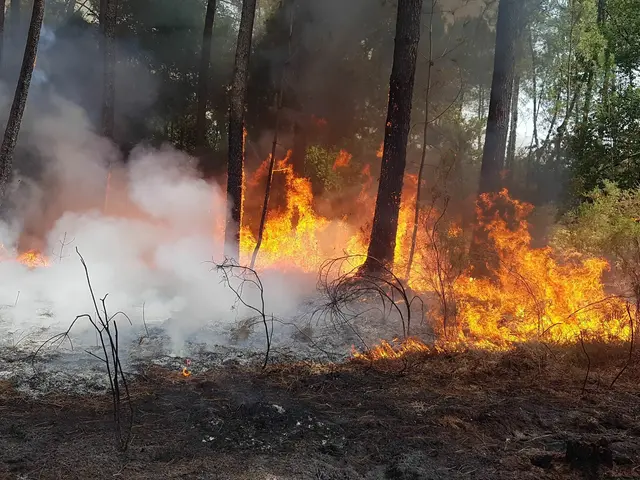 Foto: Archiv/NÖLFKDO