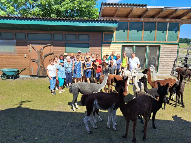 Die Mitglieder der Ortsgruppe Schrems der NÖs Senioren besuchten bei einer Wanderung die Alpakas der Familie Köhler. | Foto: NÖ Senioren