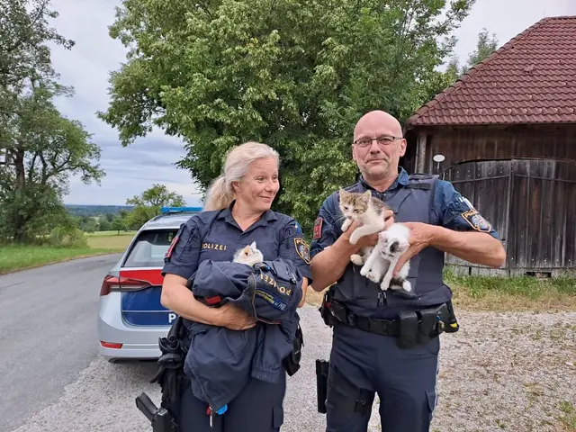 Elisabeth und Hans von der Polizeiinspektion Vorchdorf mit einigen der geretteten Katzen. | Foto: Polizei Vorchdorf