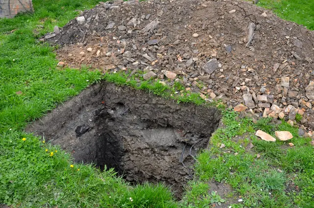 Einfach ausgegraben und gestohlen! In Enns sorgt der Diebstahl mehrerer Eiben für Fassungslosigkeit. Wer macht so etwas? ACHTUNG: Das ist ein Symbolfoto. | Foto: Smarterpix/vergl@centrum.cz
