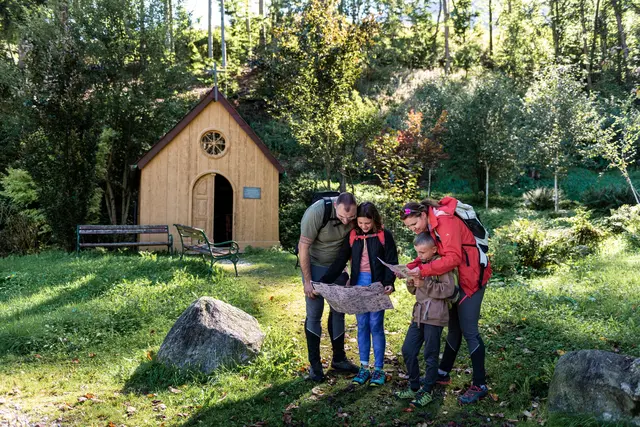 Wanderbarer Schwazer Silberwald – nur einen Spaziergang von der Silberstadt entfernt | Foto: Angélica Morales