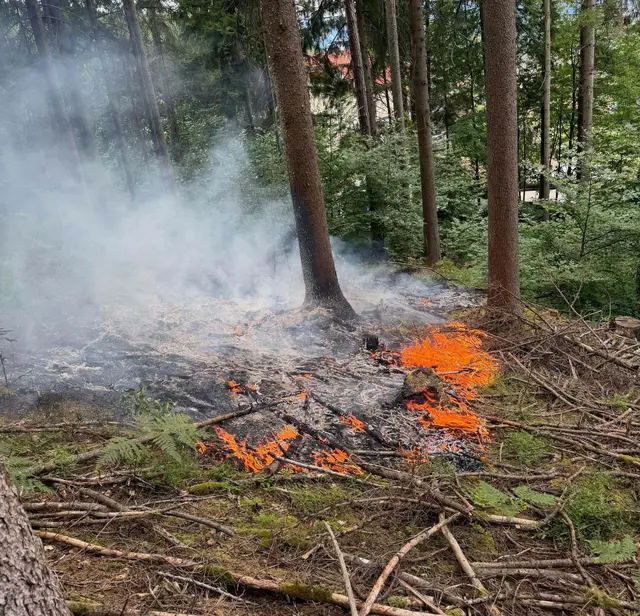Ein aufmerksamer Feuerwehrmann bemerkte einen beginnenden Wald- und Wiesenbrand. | Foto: FF Voitsberg