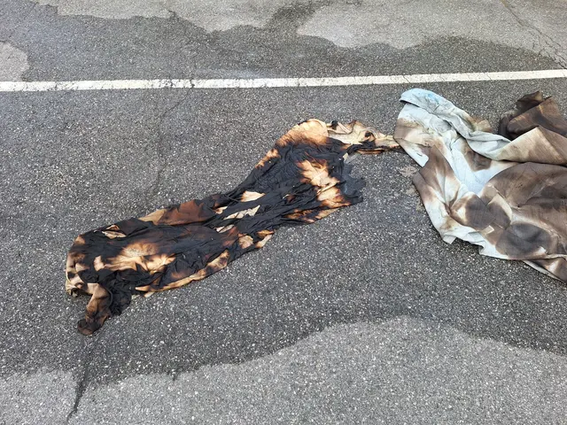 Foto: Feuerwehr Riedlingsdorf