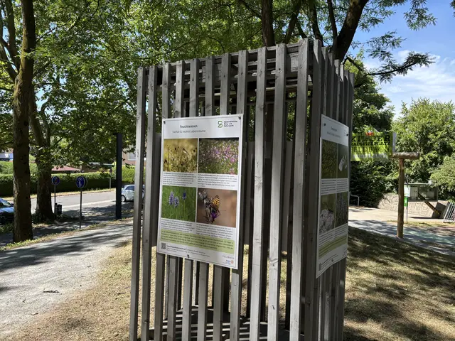 Mit dem Bezirkstag wurden wieder viele freiwillige Stunden geleistet und dank der Infotafeln bleibt der Stadt sogar ein bleibender Mehrwert. | Foto: Steiermärkischen Berg- und Naturwacht Südoststeiermark