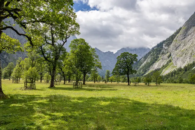 Last but not least: Der Große Ahornboden in der Eng ist ein Naturdenkmal im Herzen des Karwendelgebirges, wo zahllose teils jahrhundertealte Bergahorne eine einzigartige Alpenlandschaft zieren und ein Inbegriff alpiner Schönheit. | Foto: TVB Silberregion Karwendel