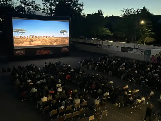 352 Besucherinnen und Besucher genossen beim zwölften Sommerkino in Schrems einen stimmungsvollen Filmabend unter freiem Himmel. | Foto: ÖGB Waldviertel