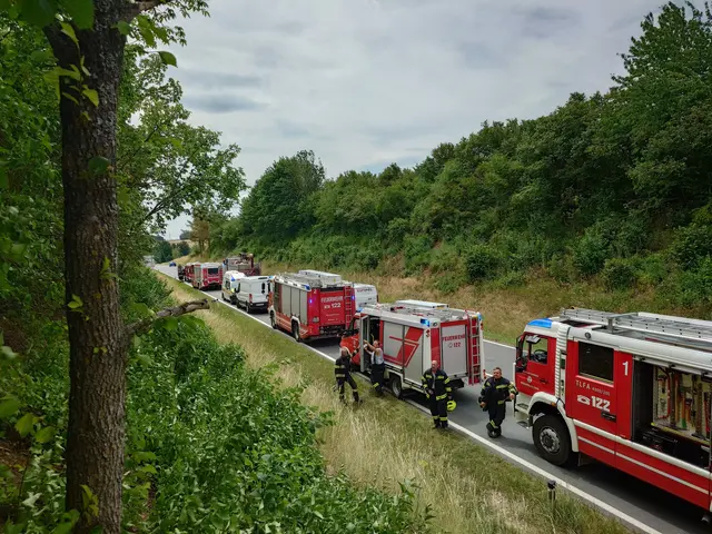 Bereits um 13 Uhr konnte der Einsatz beendet werden und die Mitglieder wieder ins Feuerwehrhaus einrücken. | Foto: FF Waidhofen/Thaya