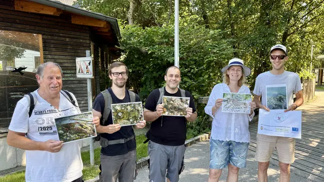 Foto: Naturpark Attersee-Traunsee