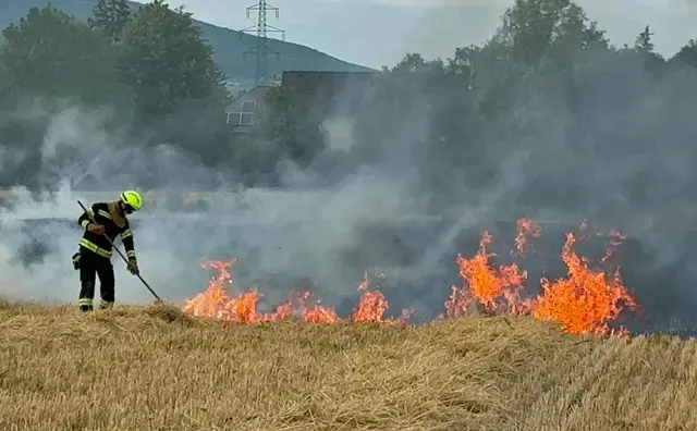 Brandstiftung bei brennendem Feld vermutet. | Foto: BFKDO BADEN / Stefan Schneider