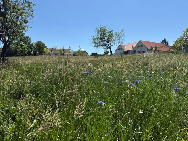 Foto: Grüne Steiermark