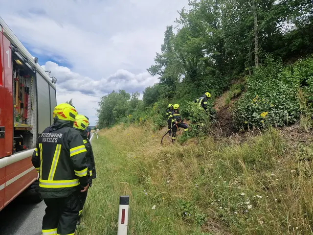 Löscheinsatz entlang der Bundesstraße bei Waidhofen | Foto: FF Waidhofen/Thaya