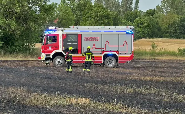 Ein Passant hatte auch große Sorge um seine Bienenstöcke im Nahbereich.

 | Foto: BFKDO BADEN / Stefan Schneider