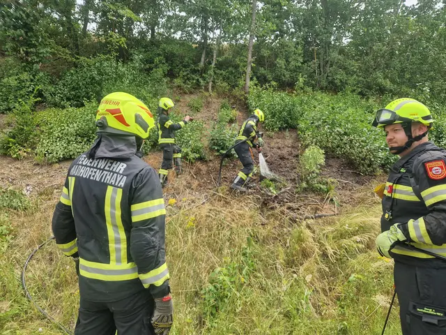 Löscheinsatz entlang der Bundesstraße bei Waidhofen | Foto: FF Waidhofen/Thaya