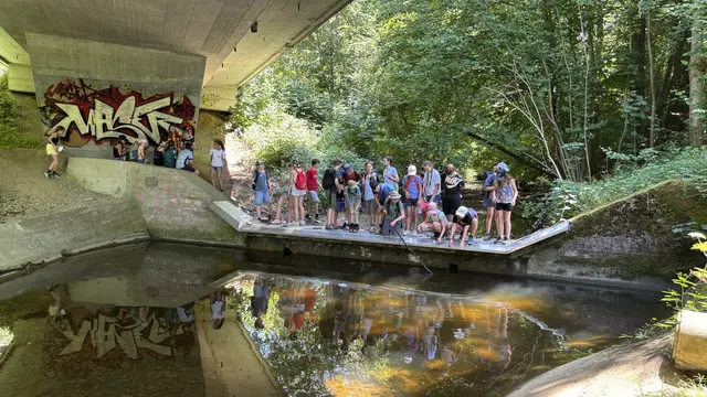 Die Schülerinnen und Schüler bei der Flusskrebssperre am Steinbach. | Foto: Naturpark Attersee-Traunsee