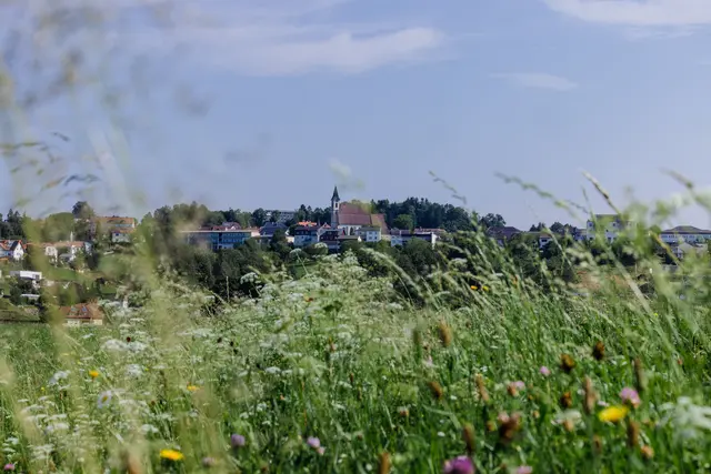 "Tourismusverein Gsund Leben - Willkommen in Bad Kreuzen" ist für den Regionalitätspreis nominiert. | Foto: Tourismusverband Donau OÖ/Sintwerk GmbH