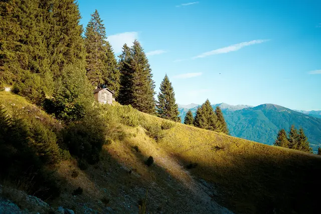Ein 65-jähriger Wanderer stürzte beim Abstieg von der Erlanger Hütte in Umhausen. (Symbolbild) | Foto: pexels / Vladislav Anchuk