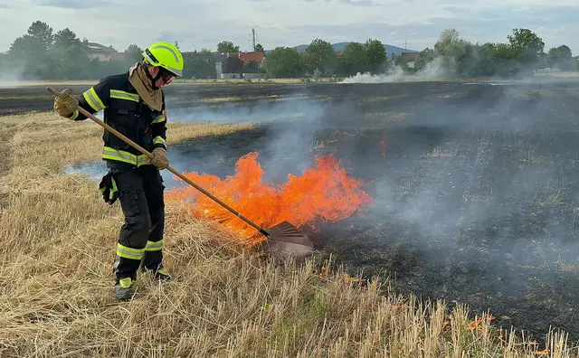 Die Feuerwehr löscht das brennende Feld. | Foto: BFKDO BADEN / Stefan Schneider
