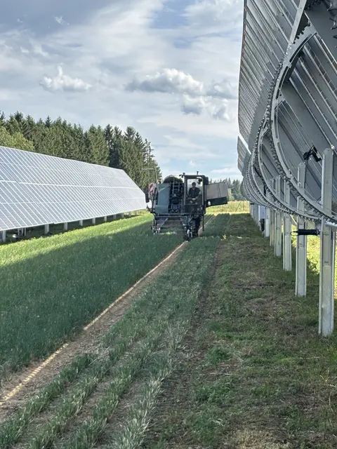 Foto: Bernhard Schabauer