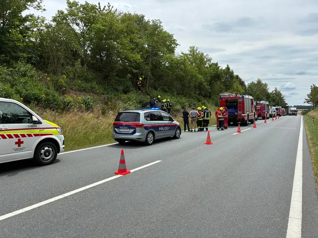 Im Einsatz waren Feuerwehr, Polizei und Rettung. | Foto: FF Waidhofen/Thaya