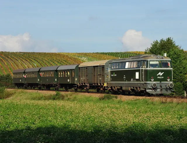 2026 feiert der Reblaus Express sein 25-jähriges Bestehen mit mehreren Veranstaltungen. | Foto: NÖVOG/Knipserl