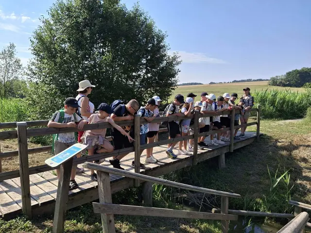 Foto: Volksschule Mogersdorf