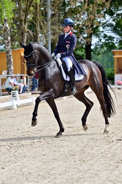 Kerstin Kronaus auf Champagne‘s Casanova  | Foto: Dill