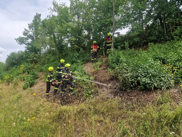Löscheinsatz entlang der Bundesstraße bei Waidhofen | Foto: FF Waidhofen/Thaya