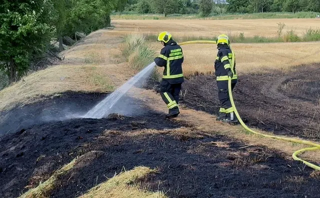Betroffen von dem Brand war eine Fläche von zirka 2,5-3 Hektar. | Foto: BFKDO BADEN / Stefan Schneider