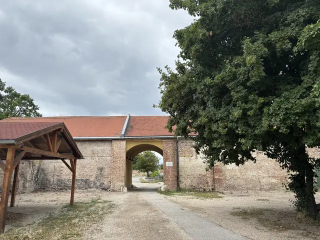 Foto: Luca Arztmann/MeinBezirk