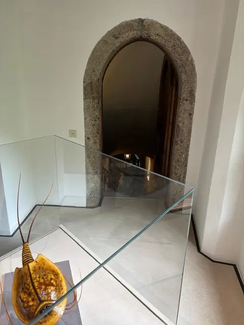 Theoretisch gibt es einen Zugang zur aktuellen Ausstellung der Landesmuseen in der Weiherburg. Diese Tür ist für Besucher allerdings verschlossen. | Foto: Königer
