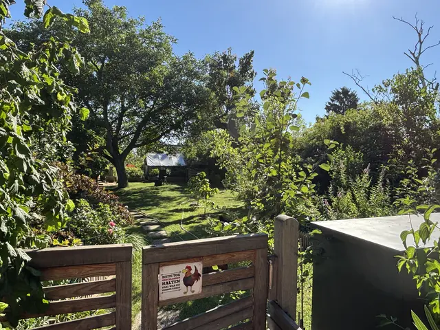 Im weitläufigen Garten der Familie Ljubic leben Hühner und wachsen Pflanzen. | Foto: Nathanael Peterlini/MeinBezirk