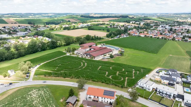 Der Irrgarten aus der Luft | Foto: MeinBezirk/Doms