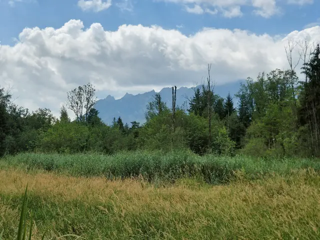 Blick auf die "schlafende Hexe " | Foto: H.Bachinger