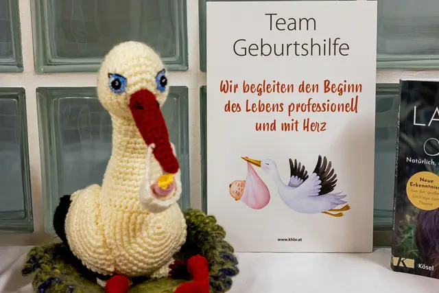 Die Storchenparty gab zukünftigen Eltern Einblicke in Geburt, Schmerzbehandlung und Stillzeit. | Foto: Krankenhaus St. Josef Braunau