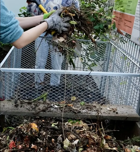 Foto: Tigergarten